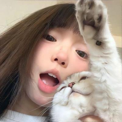 马路无理学园